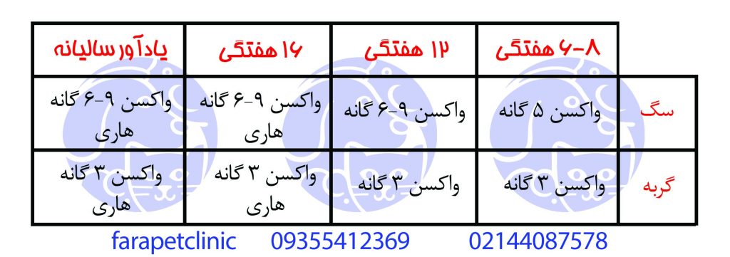 زمان مناسب برای واکسن سگ و گربه